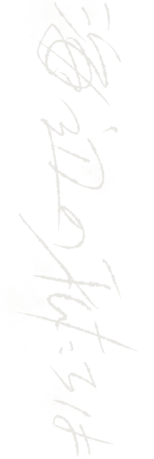 海辺の私たちは